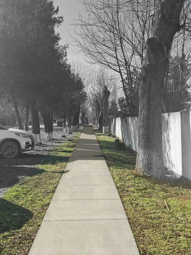 марьянская соболя.jpg