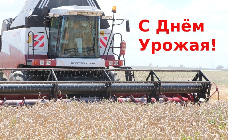 Уважаемые труженики сельского хозяйства, дорогие ветераны агропромышленного комплекса Красноармейского района!