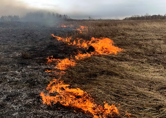 Ландшафтные пожары – опасны!