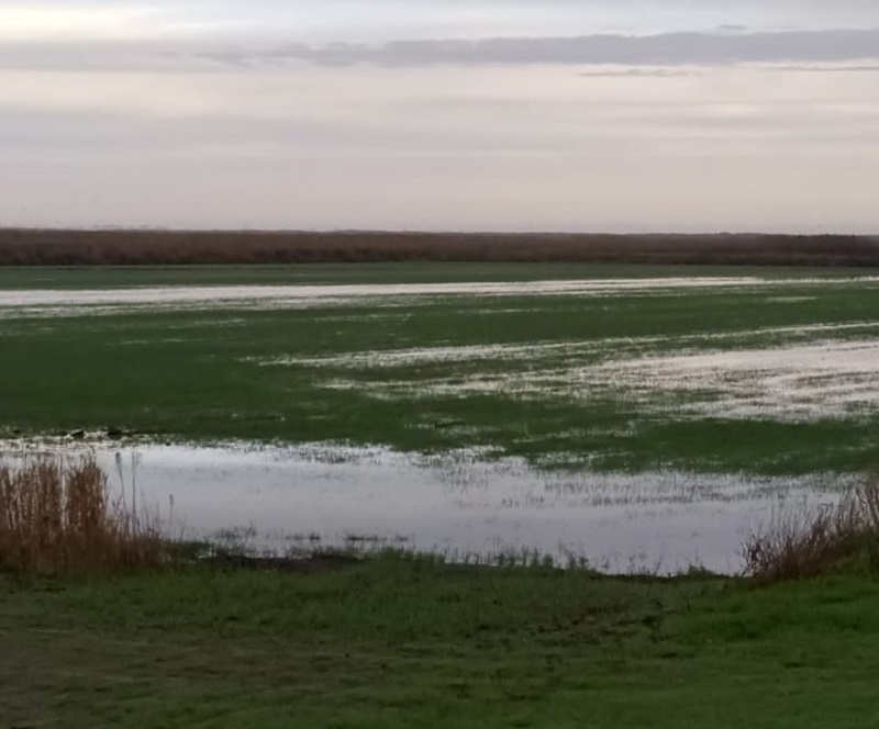 Насосная станция № 4 заработала