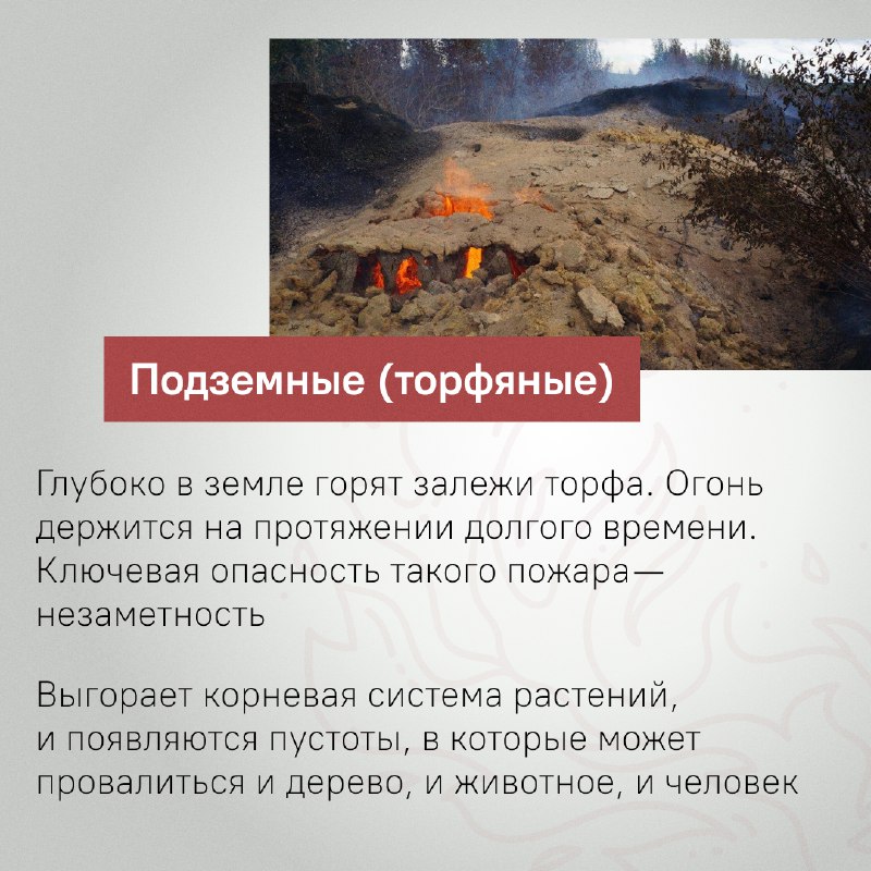 photo1719483670 (1).jpeg