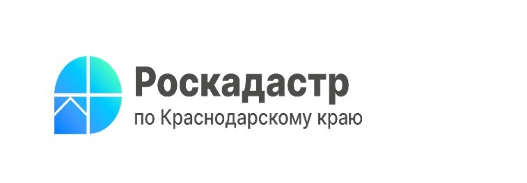 В краевом Роскадастре поясняют, как узнать об обременении объекта недвижимости