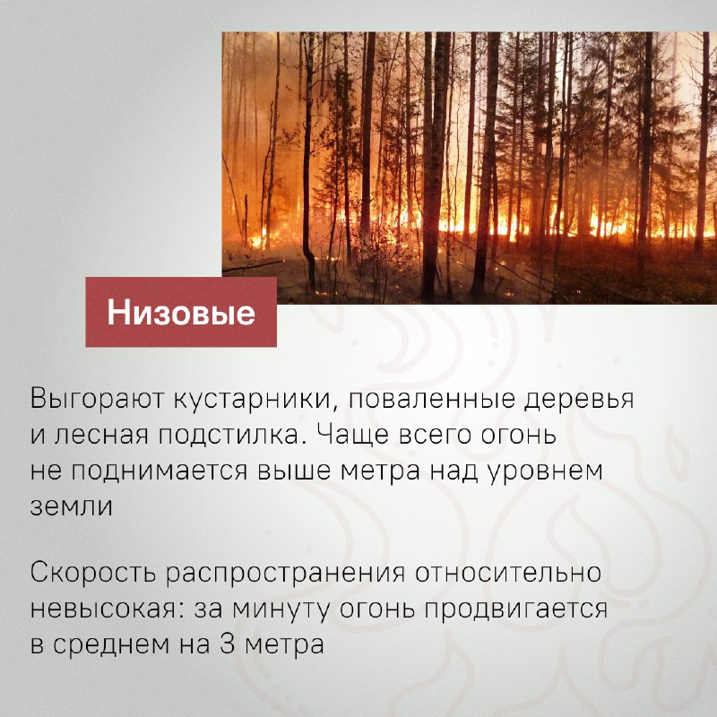 photo1719483669 (1).jpeg