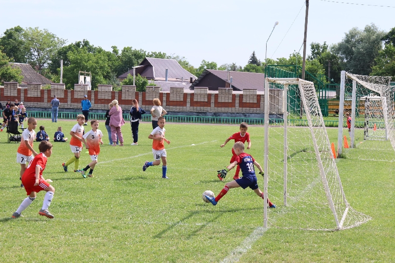 На призы молодых депутатов